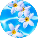 絵里香 profile picture